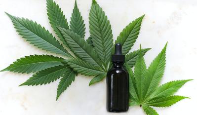 QSI CBD Products