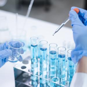 AdobeStock 1036425289 (1)