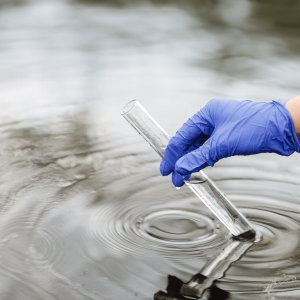 AdobeStock 211225436 2