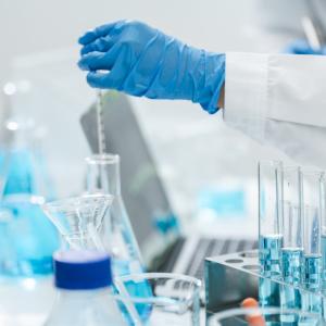 AdobeStock 620503670 (1)