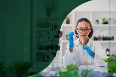 Female laboratory scientist wearing protective gloves and lab coat carefully examining a plant sample in a test tube inside a bright, modern analytical laboratory.