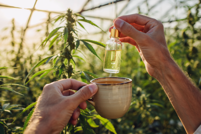 Hand holding a small dropper bottle above a cup in a greenhouse with cannabis plants in the background.