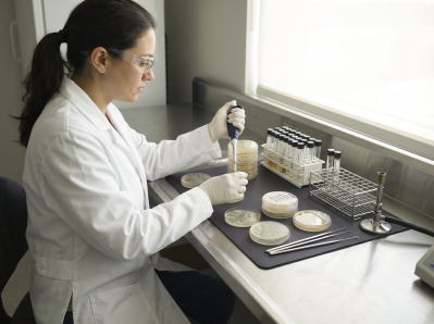 microbiology sterility testing laboratory quality control